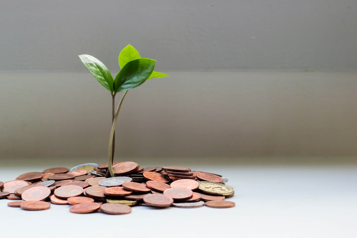 How Much Should a Cyprus Business Spend on Marketing?